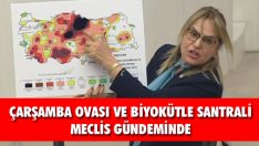 Çarşamba Ovası ve Biyokütle Santrali Meclis Gündeminde