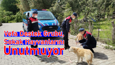 Vefa Destek Grubu, sokak hayvanlarını unutmuyor