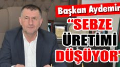 “Sebze Üretimi Düşüyor”