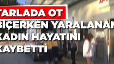 Tarlada ot biçerken yaralanan kadın hayatını kaybetti