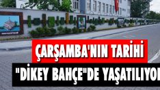 Çarşamba’nın Tarihi “Dikey Bahçe”de Yaşatılıyor