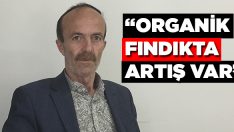 “Organik Fındıkta Artış Var”