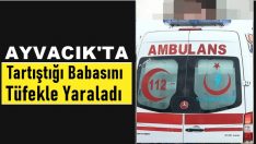 Tartıştığı babasını tüfekle yaraladı