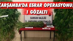 Çarşamba’da Esrar Operasyonu: 1 Gözaltı