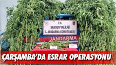 Çarşamba’da Esrar Operasyonu