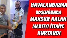 Havalandırma Boşluğunda Mahsur Kalan Martıyı İtfaiye Kurtardı