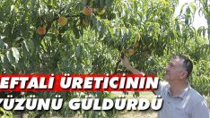 Şeftali Üreticinin Yüzünü Güldürdü