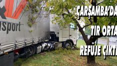 Çarşamba’da Tır Orta Refüje Çıktı