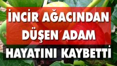 İncir Ağacından Düşen Adam Hayatını Kaybetti