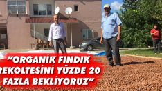 “Organik Fındık Rekoltesini Yüzde 20 Fazla Bekliyoruz”