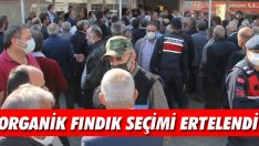 Organik Fındık Seçimi Ertelendi