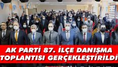 AK Parti 87. İlçe Danışma Toplantısı Gerçekleştirildi