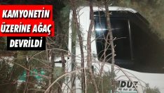 Kamyonetin Üzerine Ağaç Devrildi