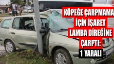 Köpeğe Çarpmamak İçin İşaret Lamba Direğine Çarptı: 1 Yaralı
