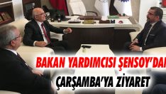 Bakan Yardımcısı Şensoy’dan Çarşamba’ya Ziyaret