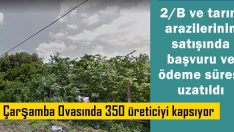 2/B ve tarım arazilerinin satışında başvuru ve ödeme süresi uzatıldı