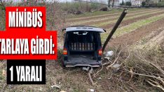 Minibüs Tarlaya Girdi: 1 Yaralı