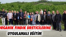 Organik Fındık Üreticilerine Uygulamalı Eğitim