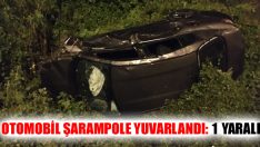 Otomobil Şarampole Yuvarlandı: 1 Yaralı