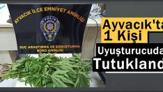 Ayvacık’ta 1 Kişi  Uyuşturucudan Tutuklandı