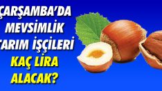 Çarşamba’da Mevsimlik Tarım İşçileri Kaç Lira Alacak?