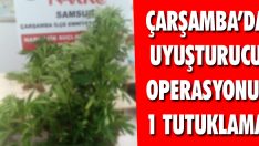 Çarşamba’da Uyuşturucu Operasyonu: 1 Tutuklama