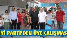 İyi Parti’den Üye Çalışması