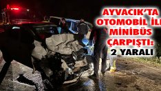 Ayvacık’ta Otomobil İle Minibüs Çarpıştı: 2 Yaralı