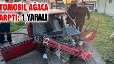 Otomobil Ağaca Çarptı: 1 Yaralı
