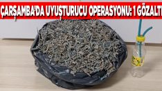 Çarşamba’da Uyuşturucu Operasyonu: 1 Gözaltı