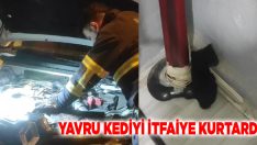 Yavru Kediyi İtfaiye Kurtardı