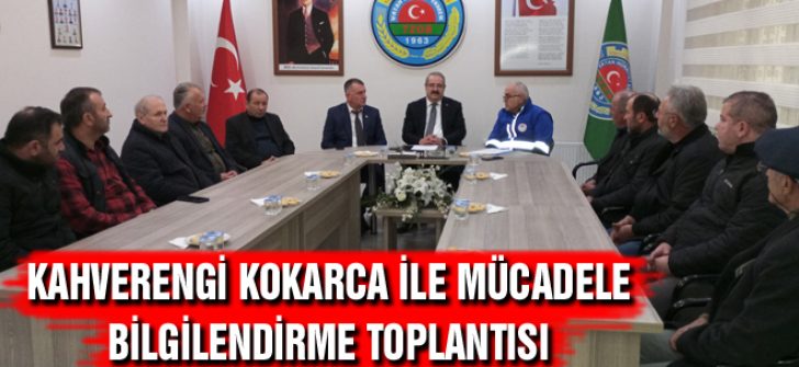 Kahverengi Kokarca İle Mücadele Bilgilendirme Toplantısı