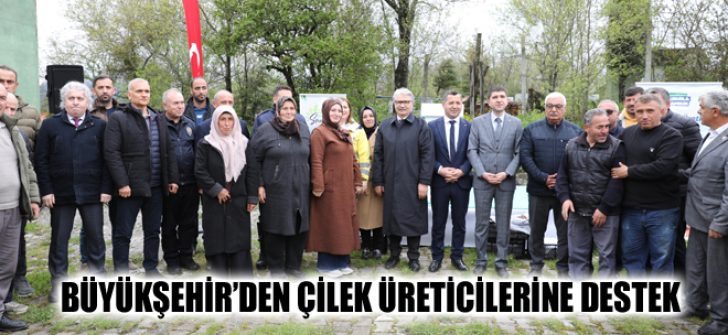 Büyükşehir’den Çilek Üreticilerine Destek
