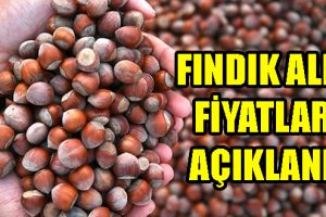 Fındık Alım Fiyatları Açıklandı