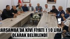 Çarşamba’da Kivi Fiyatı 110 Lira Olarak Belirlendi
