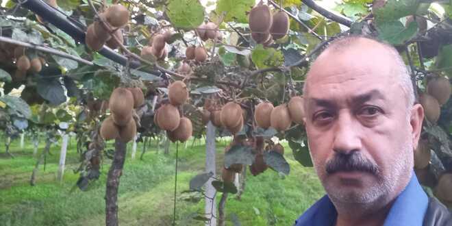 Kivi Üreticisi Ömer ÖNTÜRK