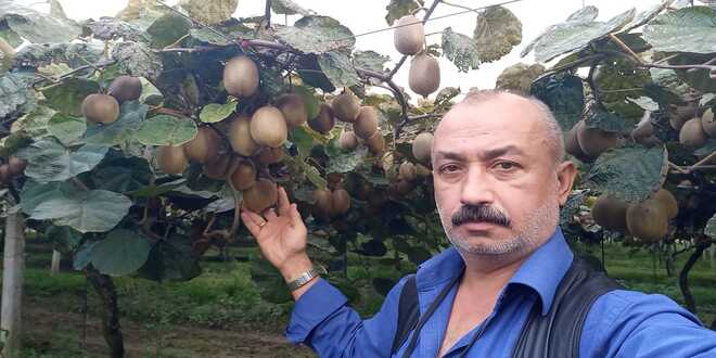 Kivi Üreticisi Ömer ÖNTÜRK