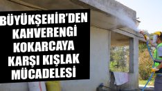 Büyükşehir’den Kahverengi Kokarcaya Karşı Kışlak Mücadelesi