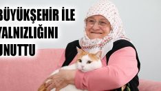Büyükşehir İle Yalnızlığını Unuttu
