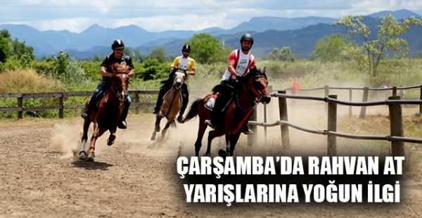 Çarşamba’da Rahvan At Yarışlarına Yoğun İlgi