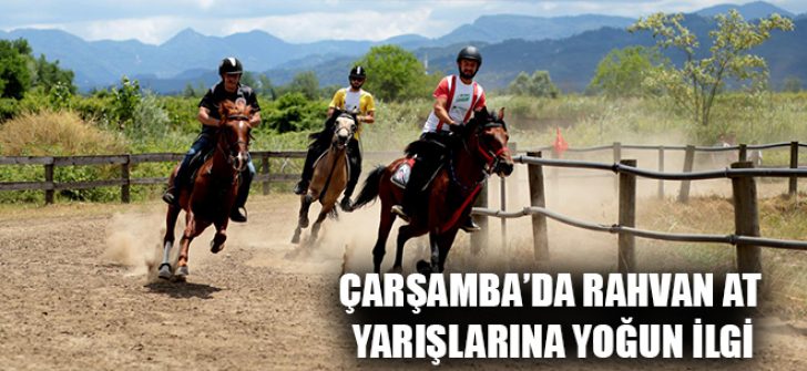 Çarşamba’da Rahvan At Yarışlarına Yoğun İlgi
