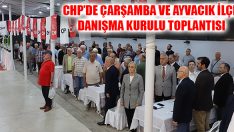 CHP’de Çarşamba ve Ayvacık İlçe Danışma Kurulu Toplantısı