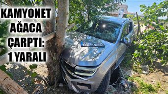 Kamyonet Ağaca Çarptı: 1 Yaralı
