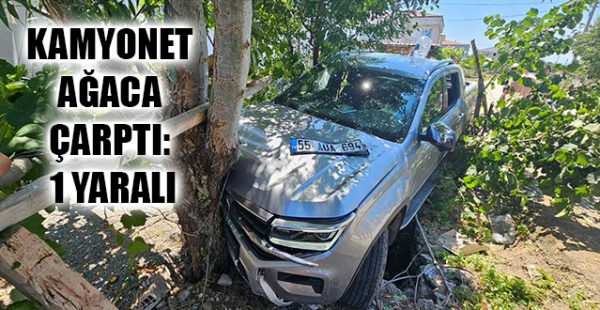 Kamyonet Ağaca Çarptı: 1 Yaralı