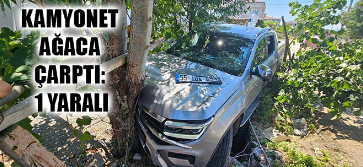 Kamyonet Ağaca Çarptı: 1 Yaralı