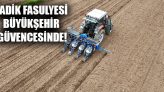 Ladik Fasulyesi Büyükşehir Güvencesinde!