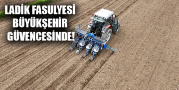Ladik Fasulyesi Büyükşehir Güvencesinde!