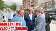 Saadet Partisi Ayvacık’ta Sahada