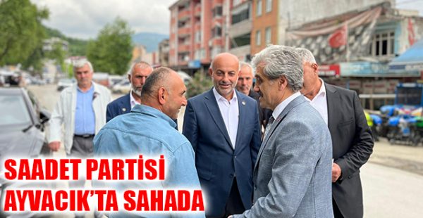 Saadet Partisi Ayvacık’ta Sahada