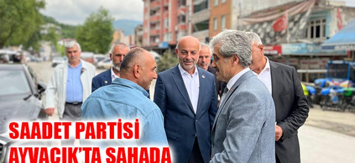Saadet Partisi Ayvacık’ta Sahada